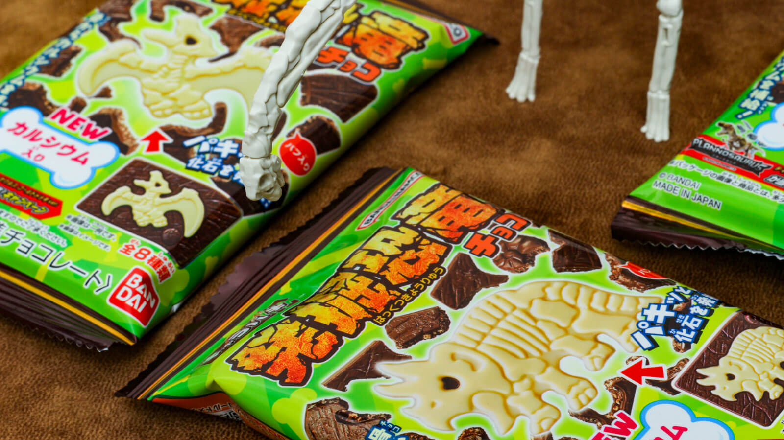 キャラパキ少年の内なる思いが爆発する？／プラノサウルスが位置する