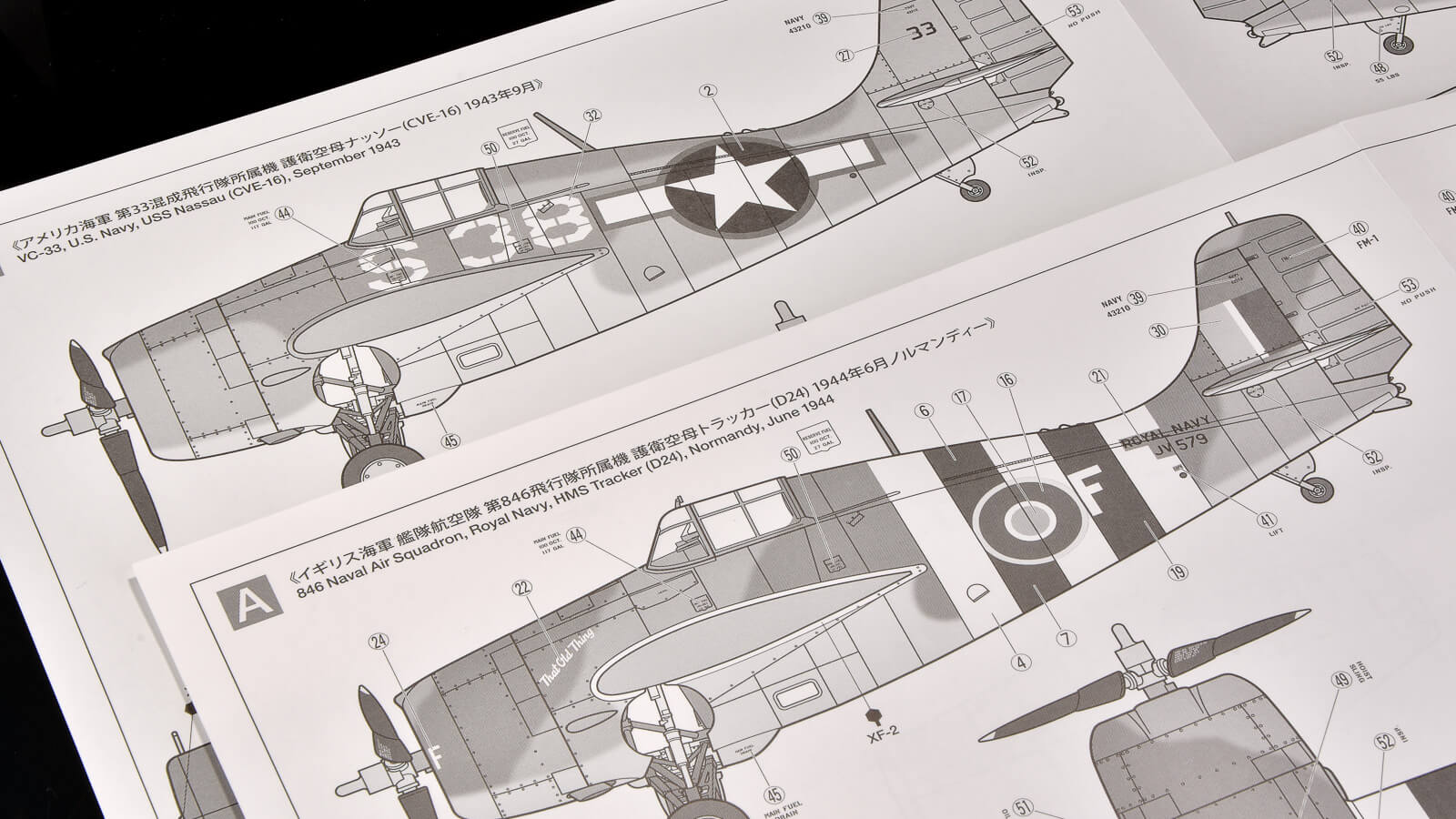 AMC 1/20 ミナルディ M195 1995年 ガレージキット 取説無 ミニカーショップ ロム
