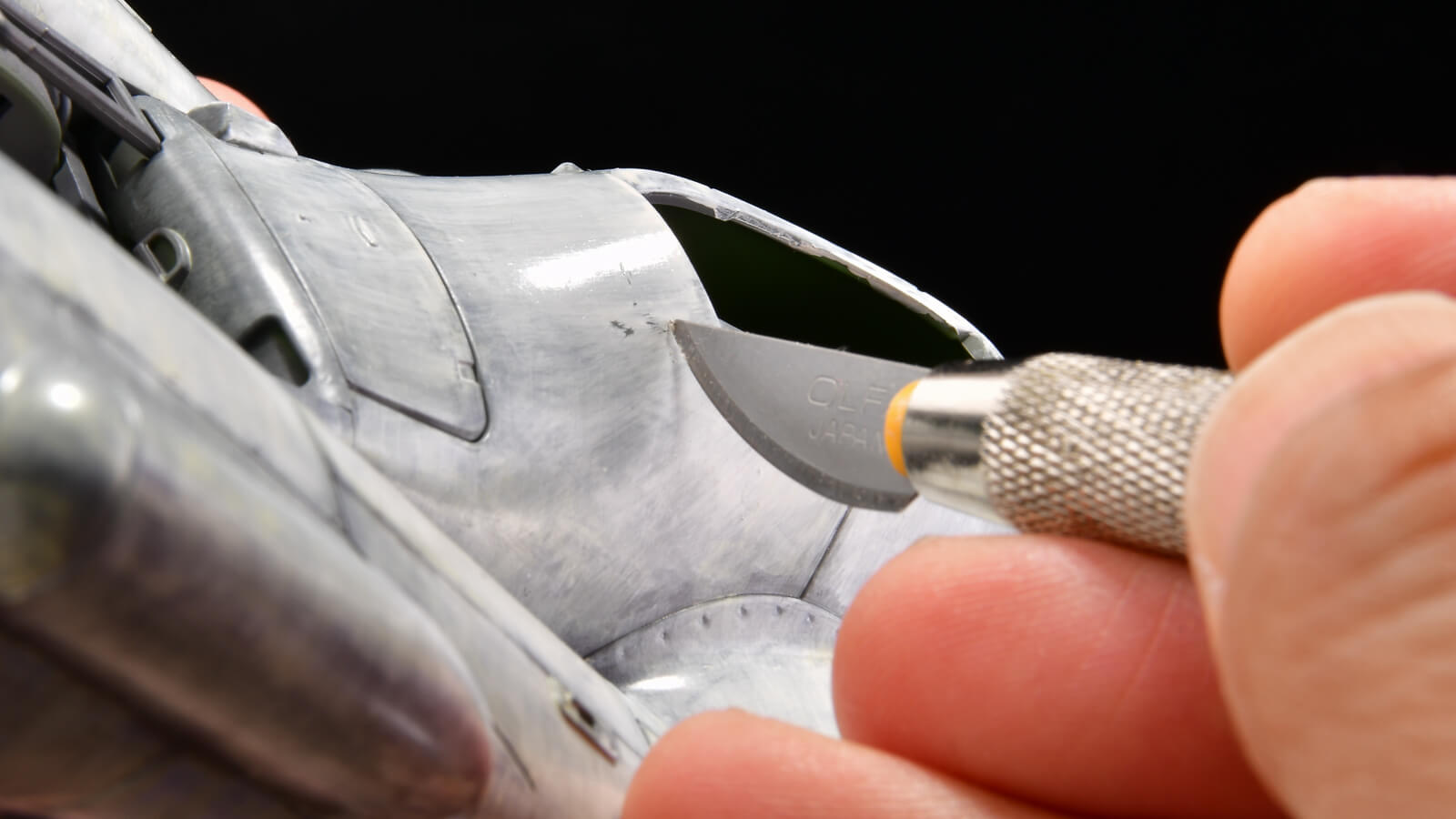 ノスリ 剥製 010-3s.jpg