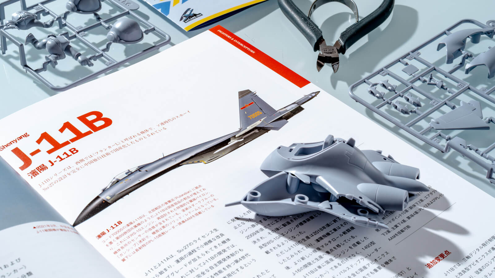 レビュー】「解釈」を巡る冒険／現代中国空軍の図鑑から、デフォルメ